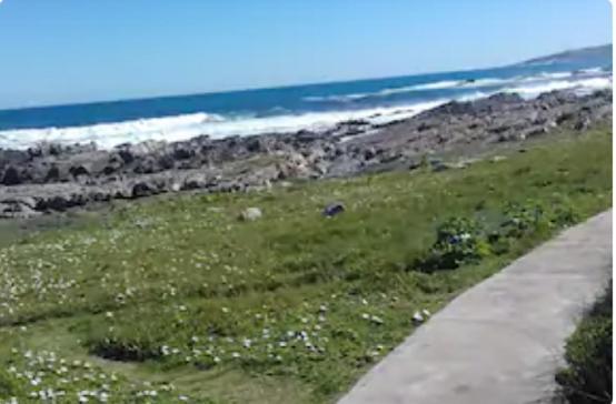 Self Catering Unit 7, Sandbaai Hermanus Extérieur photo