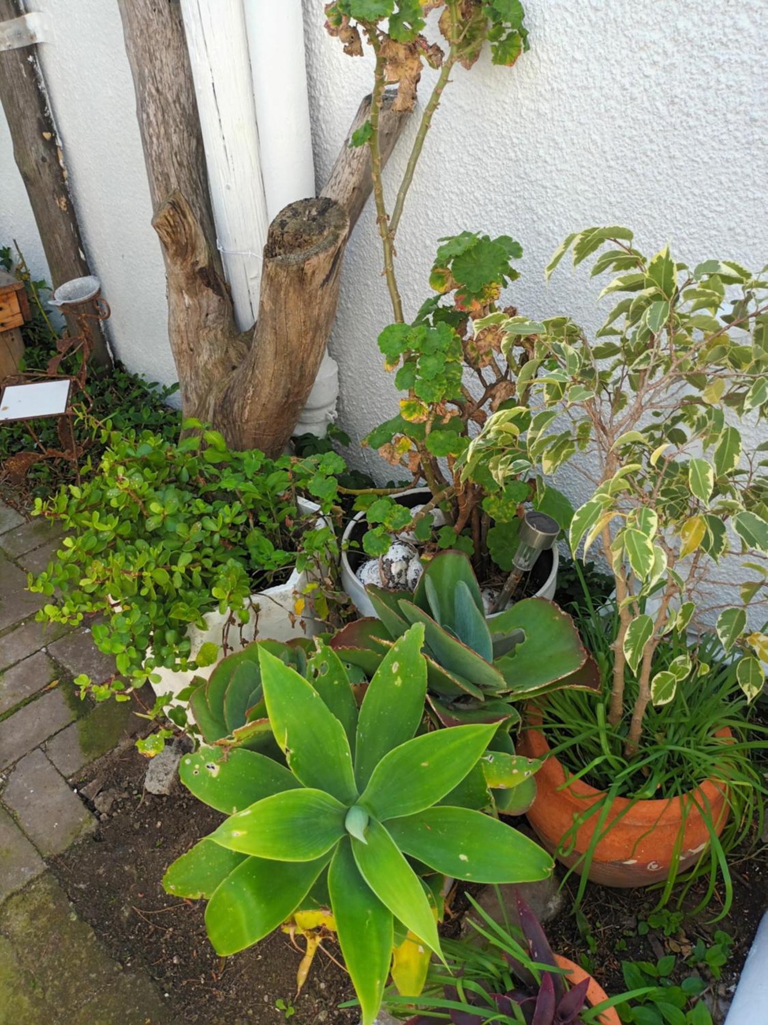 Self Catering Unit 7, Sandbaai Hermanus Chambre photo